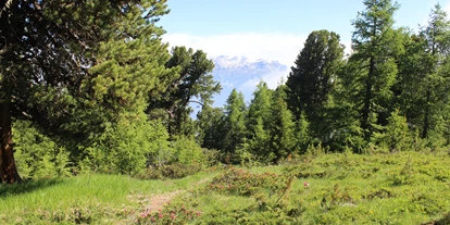 Ausflug mit Kindern - Weg: Erlebnisweg - Schweiz - Abenteuerwald