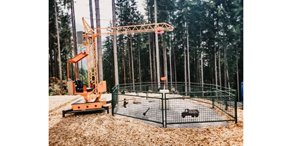 Trip with children - Übersee - Hydraulischer Kran für kleine & große Bauarbeiter im Waldspielpark Zahmer Kaiser an der Bergstation des 4er Sessellift - Waldspielpark im Freizeitpark Zahmer Kaiser