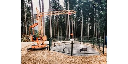Ausflug mit Kindern - Ausflugsziel ist: ein Freizeitpark - Österreich - Hydraulischer Kran für kleine & große Bauarbeiter im Waldspielpark Zahmer Kaiser an der Bergstation des 4er Sessellift - Waldspielpark im Freizeitpark Zahmer Kaiser