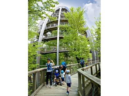 Ausflug mit Kindern - Ausflugsziel ist: eine Sehenswürdigkeit - Familienausflug am Baumwipfelpfad Bayerischer Wald im Frühling - Baumwipfelpfad Bayerischer Wald