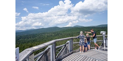 Ausflug mit Kindern - Themenschwerpunkt: Wandern - Aussicht am Baumwipfelpfad Bayerischer Wald - Baumwipfelpfad Bayerischer Wald