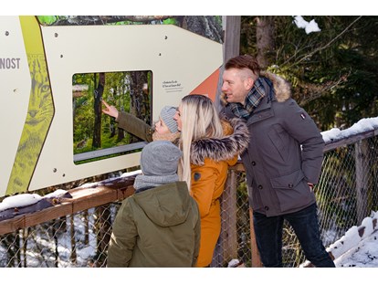 Ausflug mit Kindern - Ausflugsziel ist: eine Sehenswürdigkeit - Lernstation am Baumwipfelpfad Bayerischer Wald im Winter - Baumwipfelpfad Bayerischer Wald