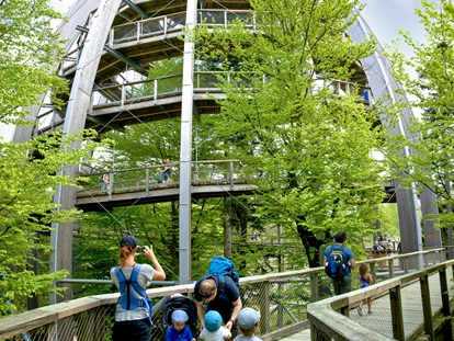 Trip with children - Ausflugsziel ist: ein Naturerlebnis - Germany - Baumwipfelpfad Bayerischer Wald