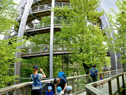 Ausflug mit Kindern - Ausflugsziel ist: eine Sehenswürdigkeit - Baumwipfelpfad Bayerischer Wald
