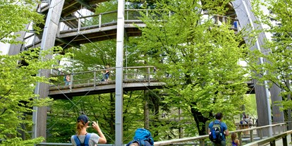 Ausflug mit Kindern - Themenschwerpunkt: Wandern - Baumwipfelpfad Bayerischer Wald