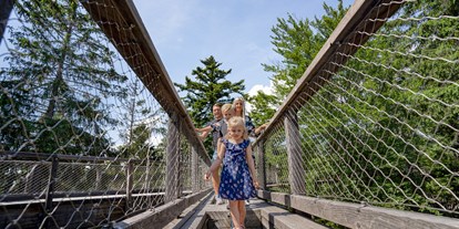 Ausflug mit Kindern - Themenschwerpunkt: Bewegung - Baumwipfelpfad Bayerischer Wald