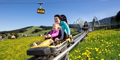 Trip with children - Flums - Kronberg Bobbahn
