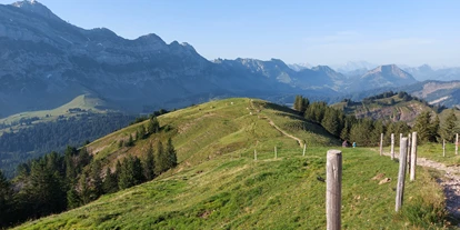 Ausflug mit Kindern - Wickeltisch - Schweiz - Wandern rund um den Kronberg