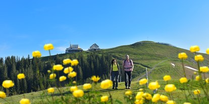 Ausflug mit Kindern - Umgebungsschwerpunkt: Land - PLZ 9100 (Schweiz) - Wandern rund um den Kronberg