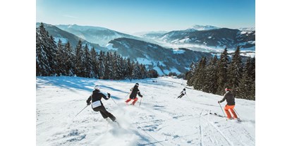 Ausflug mit Kindern - Großarl - Skiurlaub in Radstadt - Radstadt Tourismus