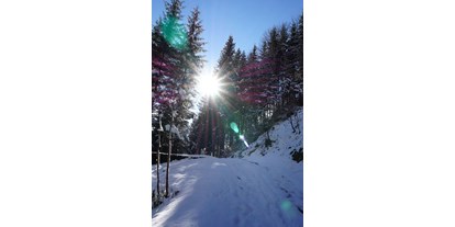 Ausflug mit Kindern - Großarl - Im Winterurlaub oder Skiurlaub geht es ins Skigebiet Ski amadé zum Skifahren, Snowboarden, Winterwandern und Rodeln. - Tourismusverband Goldegg am See