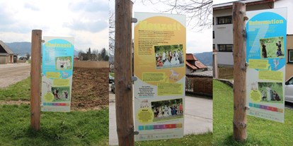 Ausflug mit Kindern - Hötzing (Eberschwang) - Attersee Pfahlbaureise