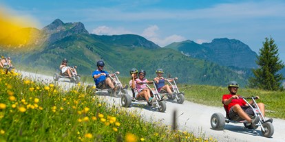 Ausflug mit Kindern - Högmoos - Mountaincart fahren im Großarltal - Mountaincart