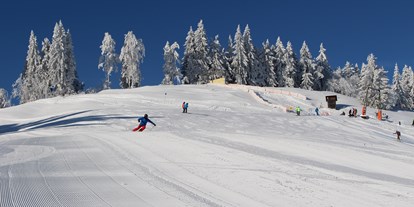 Ausflug mit Kindern - Themenschwerpunkt: Skifahren - Frastanz - www.boedele.info - Familienskigebiet Bödele-Schwarzenberg