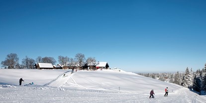 Ausflug mit Kindern - Witterung: Schnee - www.boedele.info - Familienskigebiet Bödele-Schwarzenberg