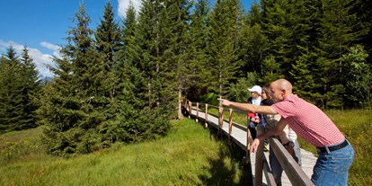 Ausflug mit Kindern - outdoor - Bürs - Familienwanderungen (teils Kinderwagentauglich) am Kristberg und im Silbertal - Kinderwagentaugliche Wanderwege im Silbertal im Montafon