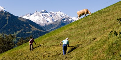 Ausflug mit Kindern - Themenschwerpunkt: Bewegung - Wald am Arlberg - Familienwanderungen (teils Kinderwagentauglich) am Kristberg und im Silbertal - Kinderwagentaugliche Wanderwege im Silbertal im Montafon