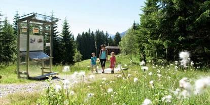 Ausflug mit Kindern - öffentliche Verkehrsmittel - Schnepfau - Kinderwagentaugliche Wanderwege im Silbertal im Montafon