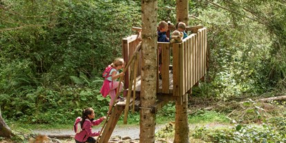 Ausflug mit Kindern - Ausflugsziel ist: ein Spielplatz - PLZ 6820 (Österreich) - Erlebnisweg Litzbach vom Silbertal im Montafon - Erlebnisweg Litzbach vom Silbertal im Montafon