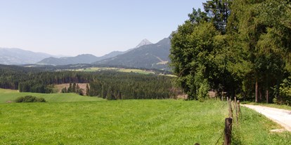 Ausflug mit Kindern - Ausflugsziel ist: eine Wanderung - PLZ 8967 (Österreich) - Bewegungsarena - Gemeinde Mitterberg - Bewegungsarena Mitterberg
