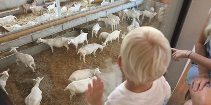 Ausflug mit Kindern - Ausflugsziel ist: ein Bauernhof - Mönichkirchen - Mandl's Ziegenhof