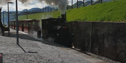 Ausflug mit Kindern - Kinderwagen: großteils geeignet - Schnepfau - Dampflok Maffei bei der Eröffnungsfahrt 2019 - Rhein-Schauen | Museum und Rheinbähnle