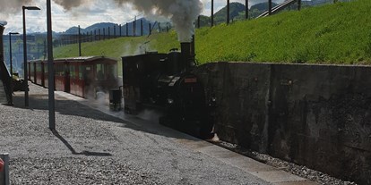 Ausflug mit Kindern - Arbon - Dampflok Maffei bei der Eröffnungsfahrt 2019 - Rhein-Schauen | Museum und Rheinbähnle