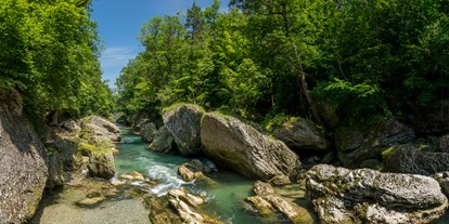 Ausflug mit Kindern - Ybbs an der Donau - Naturdenkmal & Europaschutzgebiet
Erlaufschlucht - Erlaufschlucht - Praterweg