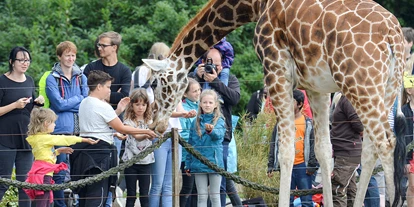 Trip with children - Kinderwagen: großteils geeignet - Mit dem Tierpfleger zur Giraffenfütterung - Jaderpark