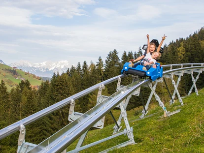 Voyage avec des enfants - Restaurant - L'Autriche - Familienpark Drachental Wildschönau Alpine Coaster
© Wildschönau Tourismus - Familienpark Drachental Wildschönau