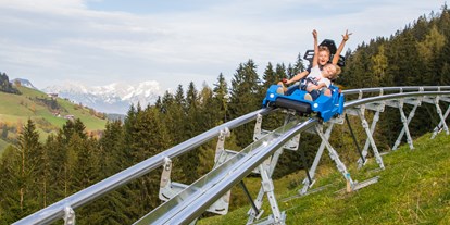 Ausflug mit Kindern - Umgebungsschwerpunkt: See - PLZ 6280 (Österreich) - Familienpark Drachental Wildschönau Alpine Coaster
© Wildschönau Tourismus - Familienpark Drachental Wildschönau