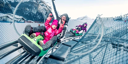 Trip with children - Sonnberg (Bramberg am Wildkogel) - Alpine Coaster Maisi Flitzer - Maisi Flitzer