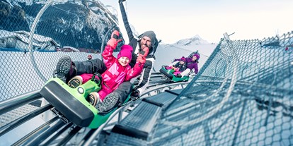 Ausflug mit Kindern - Gastronomie: Familien-Alm - Wörth (Rauris) - Alpine Coaster Maisi Flitzer - Maisi Flitzer