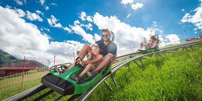 Ausflug mit Kindern - Umgebungsschwerpunkt: Land - PLZ 5724 (Österreich) - Alpine Coaster Maisi Flitzer - Maisi Flitzer