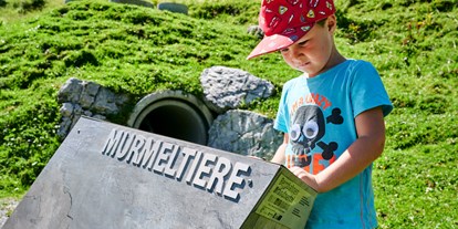Ausflug mit Kindern - Themenschwerpunkt: Abenteuer - Wald am Arlberg - Tierwelten-Weg