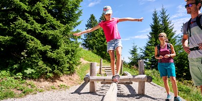 Ausflug mit Kindern - Weg: Erlebnisweg - Brülisau - Tierwelten-Weg