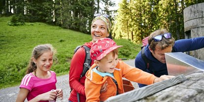 Ausflug mit Kindern - Weg: Erlebnisweg - Brülisau - Interaktive Wissensstationen machen den Natursprünge-Weg Brandnertal zum Erlebnis - Natursprünge-Weg