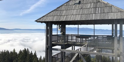 Ausflug mit Kindern - Gastronomie: Familien-Alm - Rachau - Turm im Gebirge