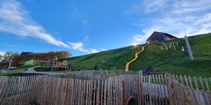 Ausflug mit Kindern - Ausflugsziel ist: ein Kletterpark - Schauberg (Lohnsburg am Kobernaußerwald) - Generationenpark Pischelsdorf