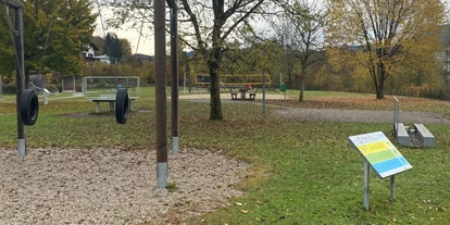 Ausflug mit Kindern - Alter der Kinder: 4 bis 6 Jahre - Hallein - Spielplatz - Bewegungspark Bergheim