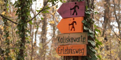 Ausflug mit Kindern - Witterung: Bewölkt - Großweikersdorf - Koliskowarte