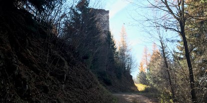 Ausflug mit Kindern - Weg: Naturweg - Murtal - Blick auf den Turm. - Burgruine Offenburg