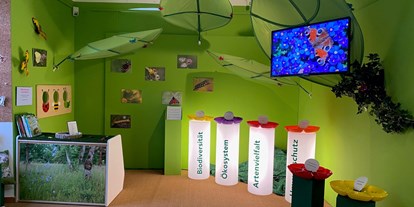 Ausflug mit Kindern - Ausflugsziel ist: ein Museum - PLZ 4058 (Schweiz) - Biodiversität - Museum am Lindenplatz