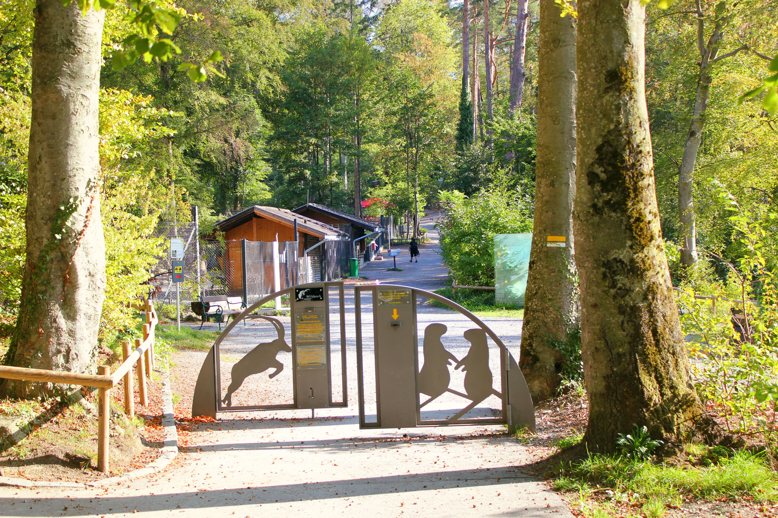 Excursiebestemming - Wildpark Feldkirch