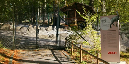 Ausflug mit Kindern - Witterung: Schönwetter - Schnepfau - Am Anfang des Wildparks trifft man auf Steinwild - Wildpark Feldkirch