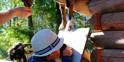 Ausflug mit Kindern - Witterung: Bewölkt - Schnepfau - Wer die Tiere füttern möchte, wie hier die Zwergziegen, der sollte reichlich 20 Cent Münzen eingesteckt haben - Wildpark Feldkirch