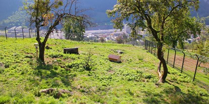 Ausflug mit Kindern - WC - Österreich - Das Fuchsgehege ist zwar oft leer, doch im Fuchshaus gibt es eine Kamera die den Blick in den Bau des Fuchses erlaubt - Wildpark Feldkirch