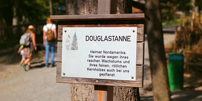 Trip with children - Kinderwagen: vollständig geeignet - Schnepfau - Zahlreiche Schilder bei Bäumen und Sträuchern verraten etwas über die Flora im Wildpark - Wildpark Feldkirch
