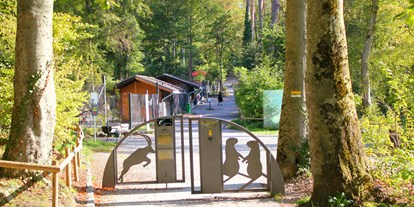 Ausflug mit Kindern - TOP Ausflugsziel 2023 - Bürs - Wildpark Feldkirch