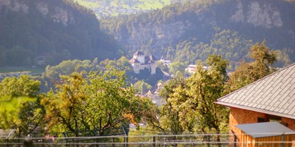 Ausflug mit Kindern - sehenswerter Ort: Burg - Urnäsch - Die Schattenburg vom Wildpark Feldkirch aus gesehen - Schattenburg-Museum